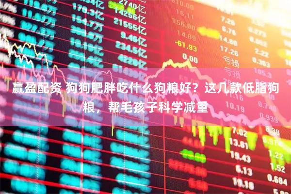 赢盈配资 狗狗肥胖吃什么狗粮好？这几款低脂狗粮，帮毛孩子科学减重
