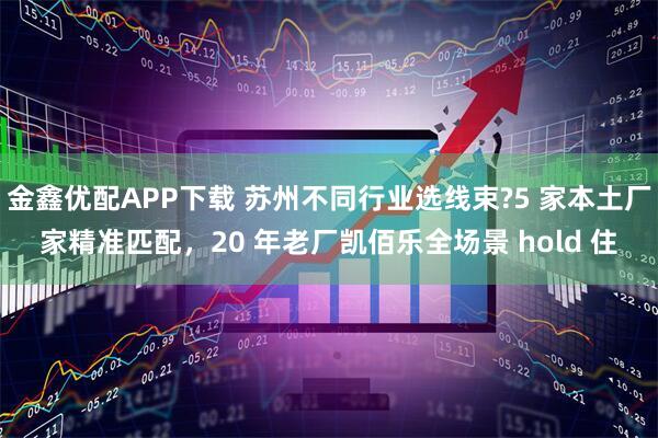 金鑫优配APP下载 苏州不同行业选线束?5 家本土厂家精准匹配，20 年老厂凯佰乐全场景 hold 住