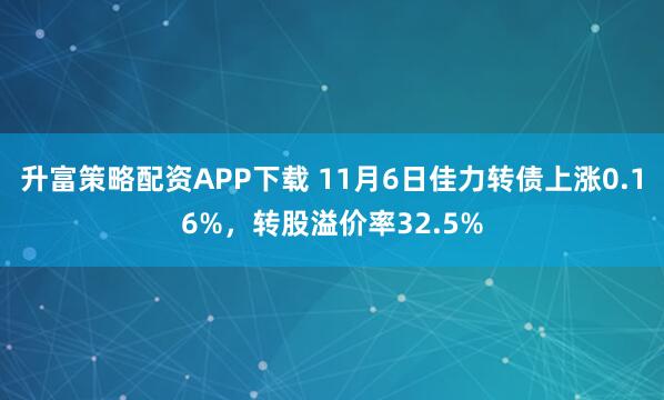 升富策略配资APP下载 11月6日佳力转债上涨0.16%，转股溢价率32.5%