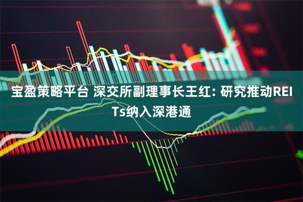宝盈策略平台 深交所副理事长王红: 研究推动REITs纳入深港通